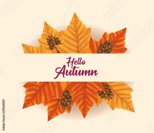hello autumn season frame with leafs