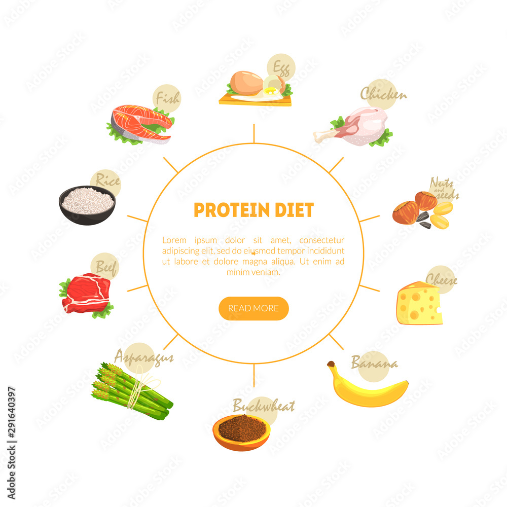Protein Diet Chart Diagram, Nutrition and Wholesome Products for Cooking and Eating Vector Illustration Protein Diet Chart Diagram, Nutrition and Wholesome Products for Cooking and Eating Vector Illustration