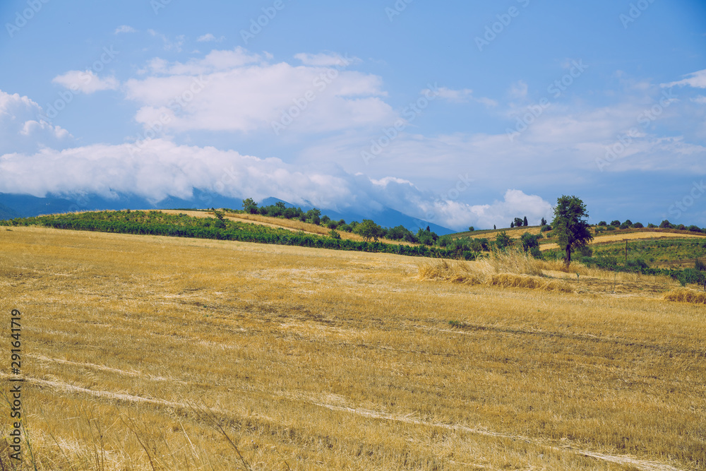 Greek Republic. Fields and mountains, grass and trees. In the distance mountains and sky. 13. Sep. 2019