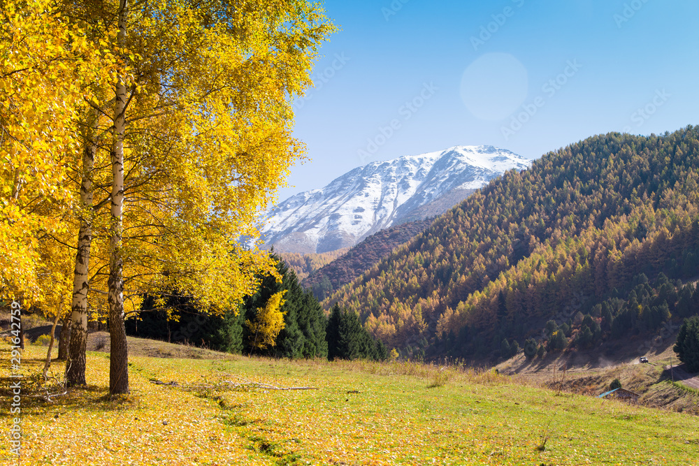 Autumn landscape. Yellow and green trees. Mountains and bright blue sky. Autumn landscape. Yellow and green trees. Mountains and bright blue sky.