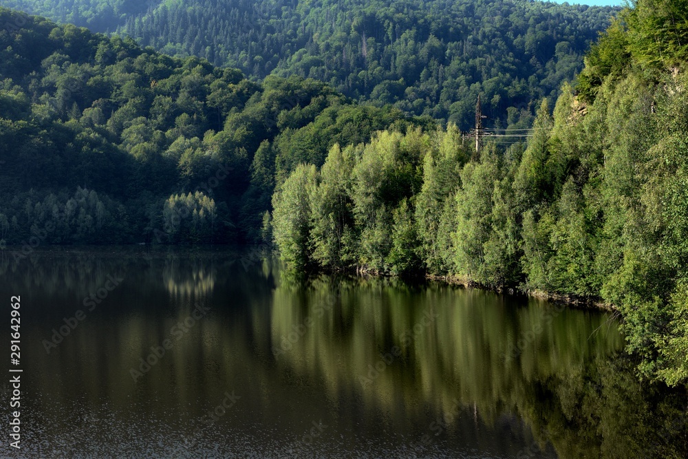 Forest Reflection On Alpine Lake Of Romania