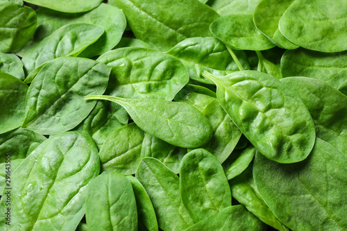 Fresh green healthy spinach as background, closeup