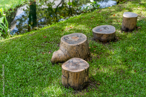 Stumps seats on the lawn of the public park, made from wooden log...