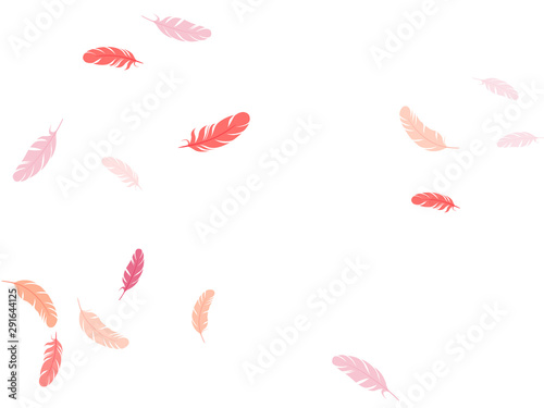 Flying feather elements airy vector design.