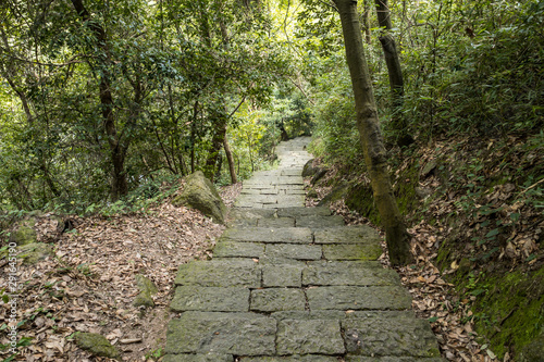 stone paved path inside park with trees on both sides and green moss cover on the surface with fallen leaves cover on the sides