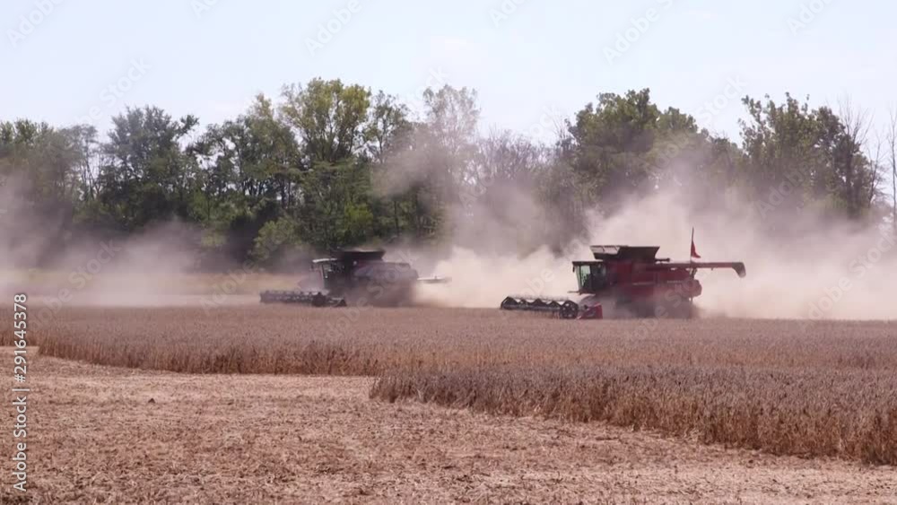 Combines harvest soybeans and corn in dusty fields in Ohio at the Farm Science Review as part of the Ohio State Extension. Combines harvest soybeans and corn in dusty fields in Ohio at the Farm Science Review as part of the Ohio State Extension.