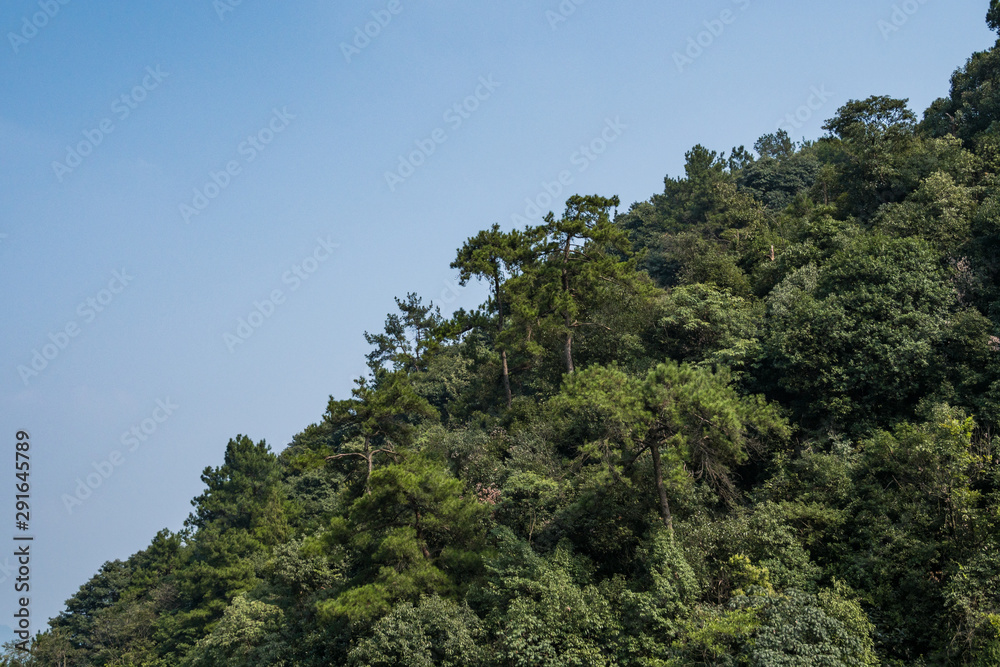 slope on the side of the mountain filled with dense green trees under clear blue sky on a hazy day
