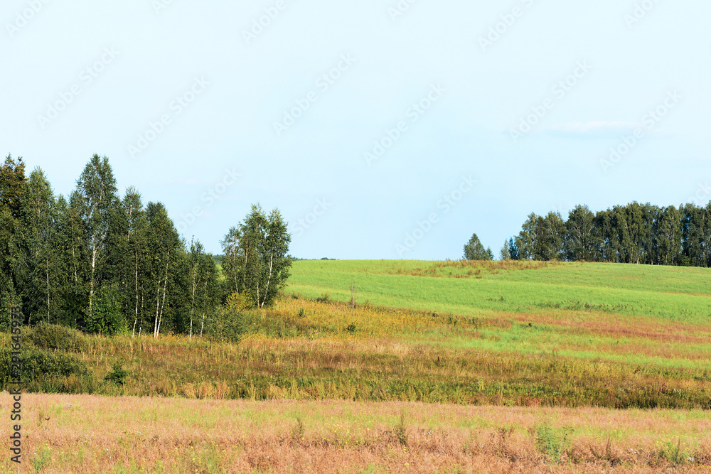 Beautiful countryside landscape - field, sky, trees. Summer rural theme