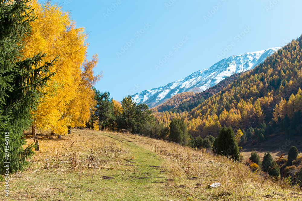 Fototapeta premium Autumn landscape. Yellow and green trees. Mountains and bright blue sky.