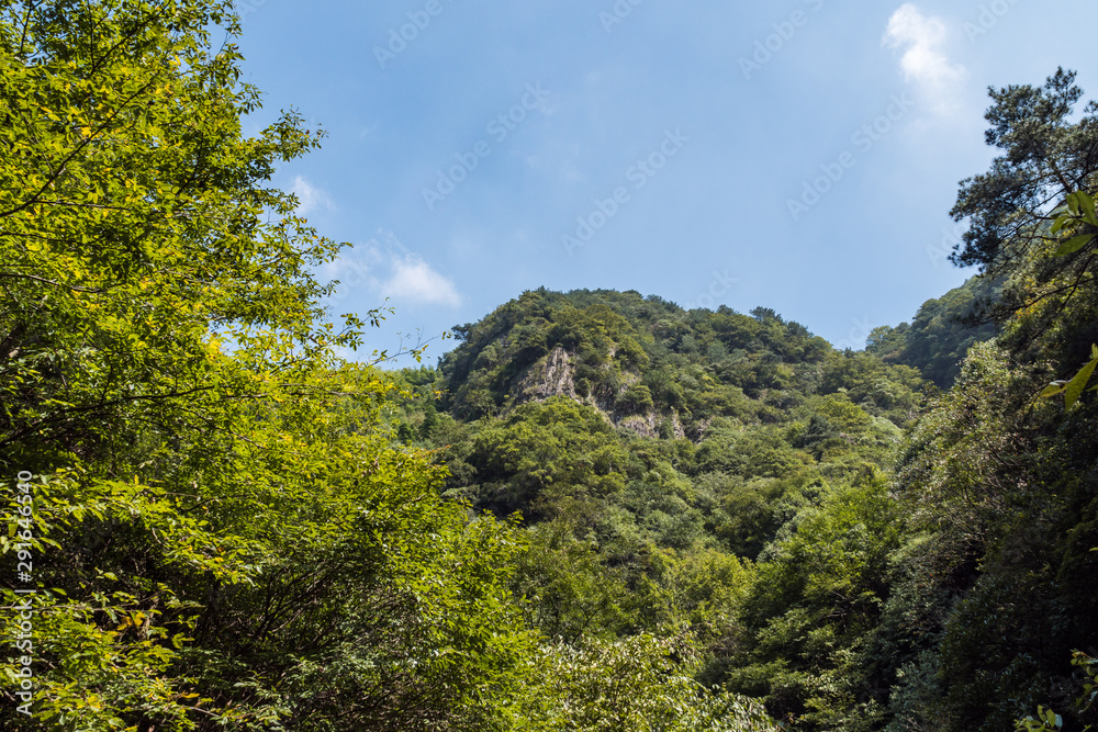 view of mountain peaks covered with dense forest  under clear blue sky on a sunny day