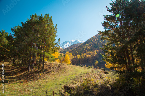 Fototapeta Naklejka Na Ścianę i Meble -  Autumn landscape. Yellow and green trees. Mountains and bright blue sky.