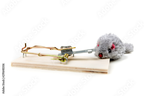 Grey toy mouse prowling around a wood mouse trap photo