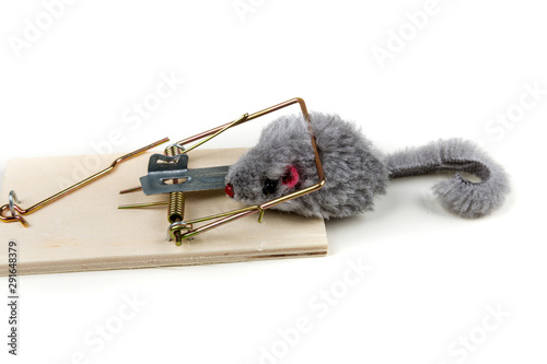 Grey toy mouse prowling around a wood mouse trap photo