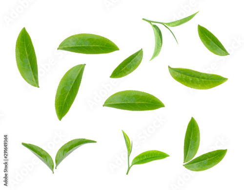 green tea leaf isolated on white background