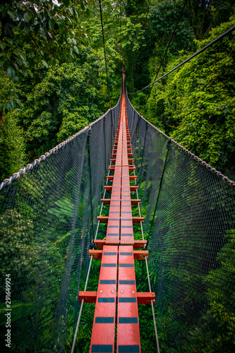 the tree top walk at Doi Tung  Chiang Rai Province  Thailand.