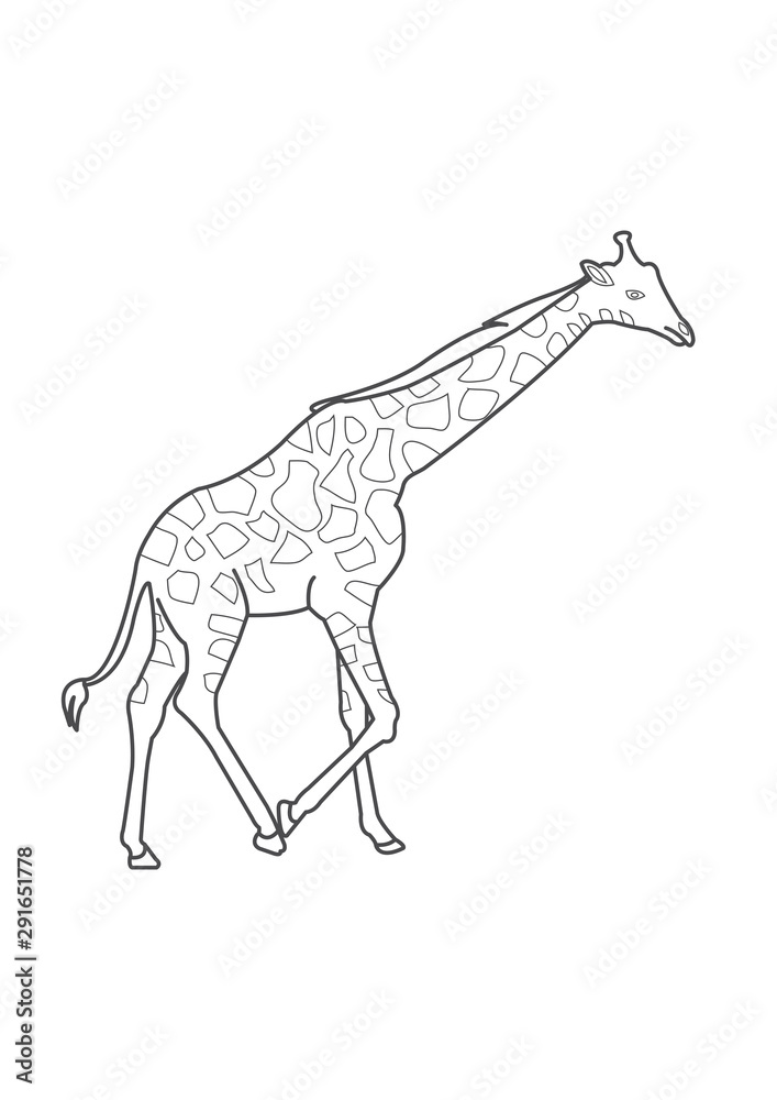 Premium Vector  Coloring book or coloring page for kids giraffe