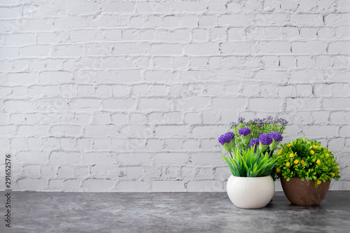 dried plant pot on white brick wall texture background.