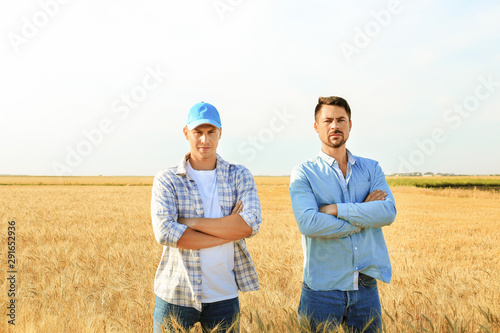 Male farmers in wheat field