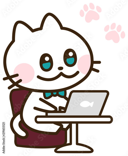 using computer white cat 