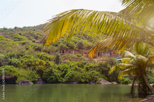 Picturesque green corner of the nature  leaves of a palm tree hang down  pretty wooden houses on high lake shore. Summer travel concept.