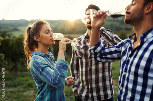 Canvas Print Picture of people tasting red wine in vineyard