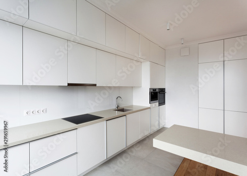 Modern and new kitchen with built in appliance