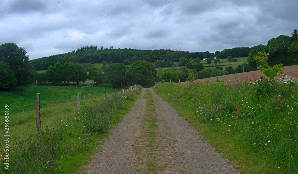 Empty dirt road at hilly countryside