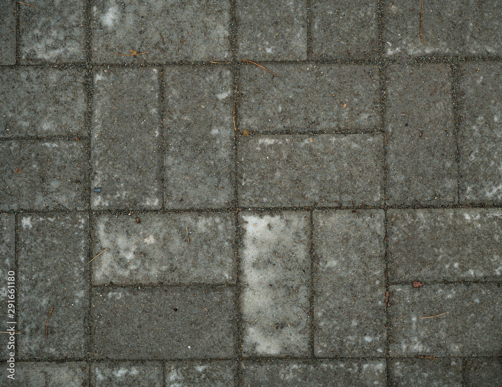 Obraz premium Texture of paving slabs overgrown with grass. Background image of a stratum stone