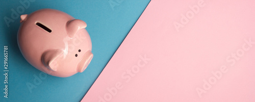 Piggy bank and dollar cash money. Business, finance, investment, saving and corruption concept. photo