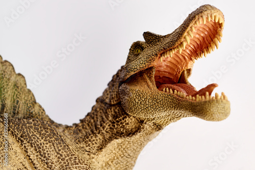 Isolated dinosaur on white background