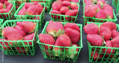 Local farmers and their strawberry stand at a farmer's market. photo