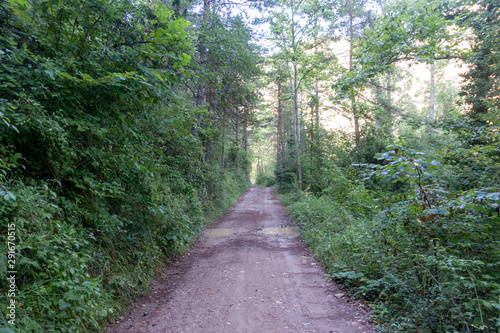 Natural environment of the town of Ripoll in Girona