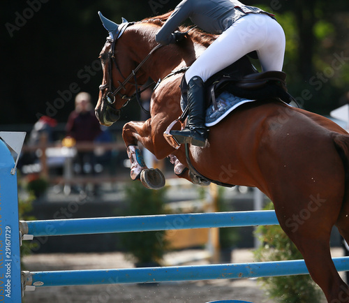Horse with rider, jumping over an obstacle in the jumping tournament.. © RD-Fotografie