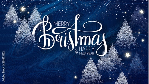 Merry Christmas and Happy new Year! Holiday backgdound with winter forest, snow, stars and frost texture. Christmas fir tree.