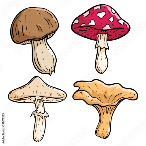 Set of cute mushroom with color and using doodle art