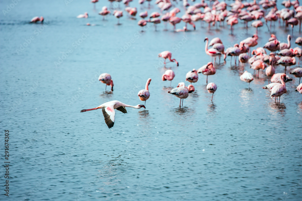 Fototapeta premium Early morning on the atlantic coast