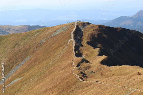 summer landscape tatra mountains in poland