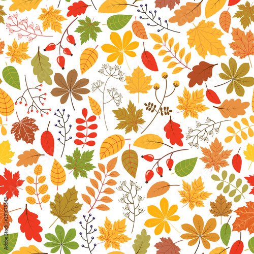 Seamless vector pattern with autumn leaves in yellow, orange and red colors on white background