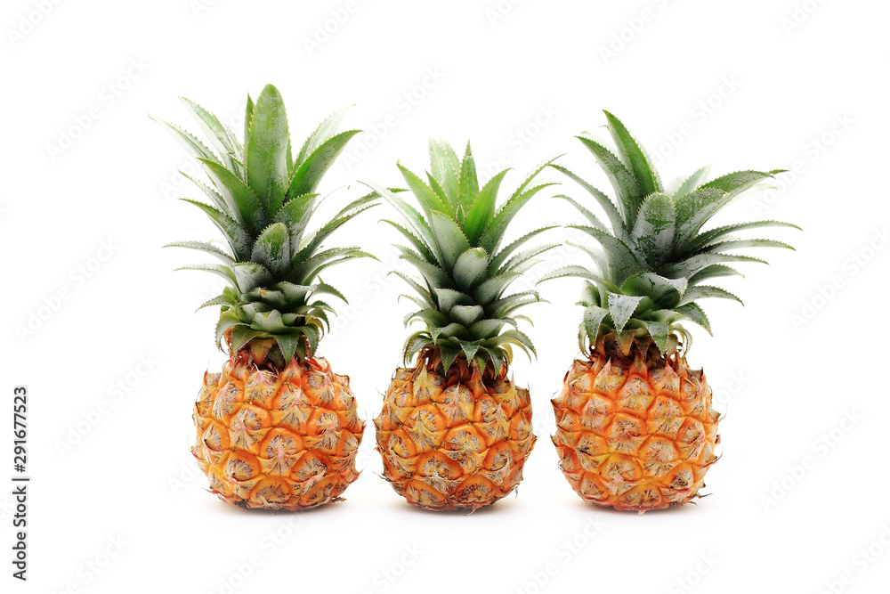 fresh organic pineapples on white background fresh organic pineapples on white background