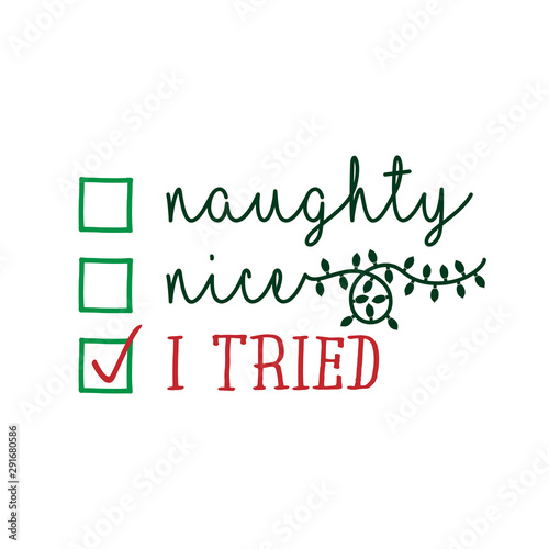 Naughty, nice, I tried - Funny calligraphy phrase for Christmas. Hand drawn lettering for Xmas greetings cards, invitations. Good for t-shirt, mug, gift, printing press. Holiday quotes.