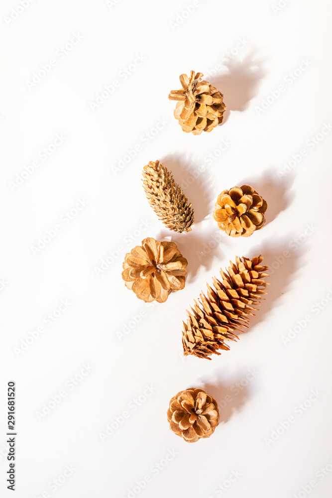 Christmas pine cones on white paper border composition. Creative flat lay, top view design Christmas pine cones on white paper border composition. Creative flat lay, top view design