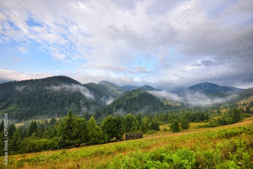 Amazing mountain landscape with fog and colorful herbs. Authumn morning after rain. Carpathian  Ukraine  Europe