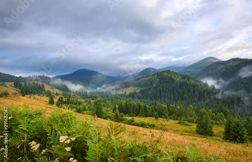 Amazing mountain landscape with fog and colorful herbs. Authumn morning after rain. Carpathian, Ukraine, Europe