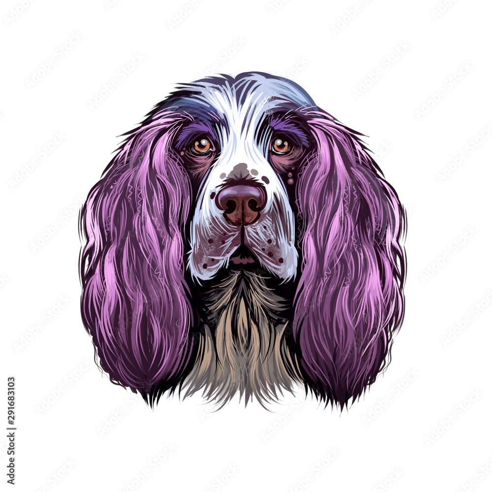 English Springer Spaniel Springer Spaniel Dog Digital Art Illustration Isolated On White Background England Origin Gun Dog Cute Pet Hand Drawn Portrait Graphic Clip Art Design For Web Print Stock Illustration