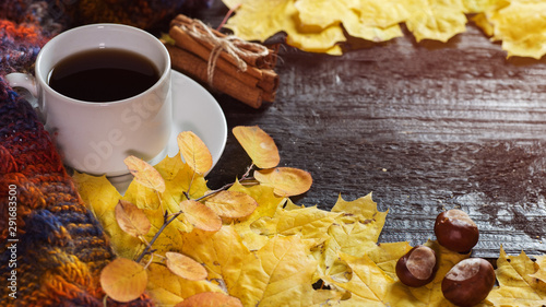 A white Cup of coffee for the morning on a dark wooden table with autumn yellow maple leaves and copyspace © pavelkant