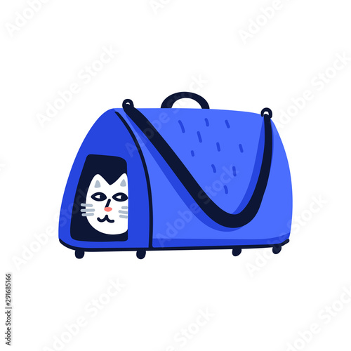Pet grooming concept. White cat sitting in a cat carrier. Cat care, grooming,...