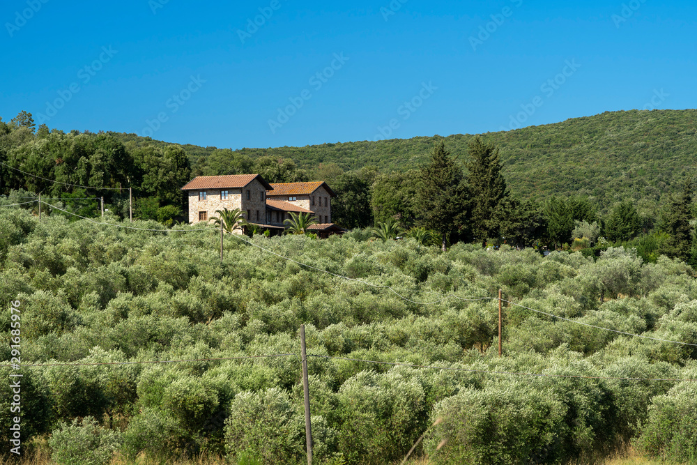 Summer landscape in Maremma, Tuscany