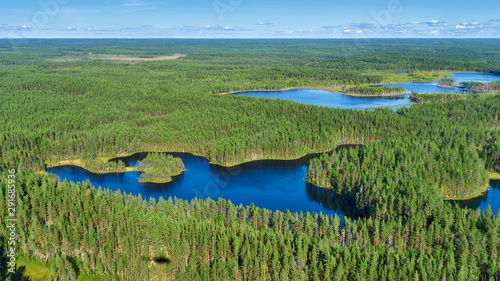 Aerial view of Karelian wild taiga and lakes photo