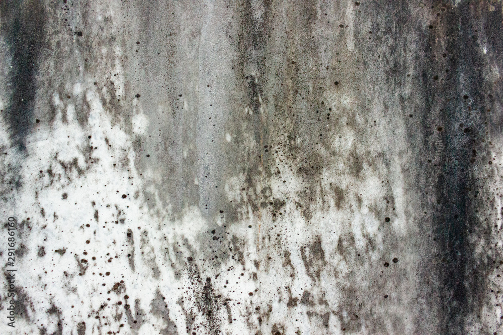 Old concrete texture background for design. Authentic Cemetery and Tombstone Texture Photograph. - Image - Image