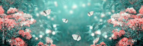 Mysterious fairytale spring or summer fantasy floral banner with blooming rose flowers and flying butterflies on blurred beautiful background toned in soft pastel colors and shiny glowing bokeh